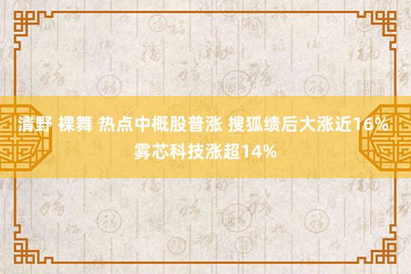 清野 裸舞 热点中概股普涨 搜狐绩后大涨近16% 雾芯科技涨超14%