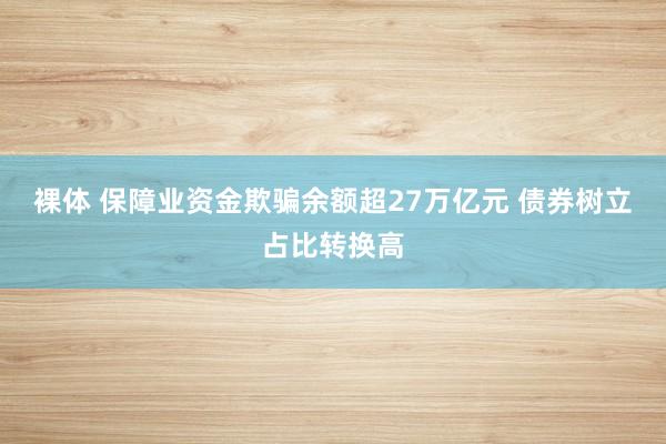 裸体 保障业资金欺骗余额超27万亿元 债券树立占比转换高