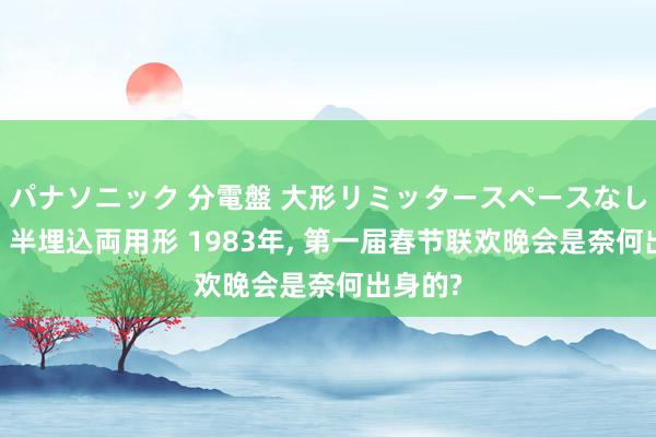 パナソニック 分電盤 大形リミッタースペースなし 露出・半埋込両用形 1983年， 第一届春节联欢晚会是奈何出身的?