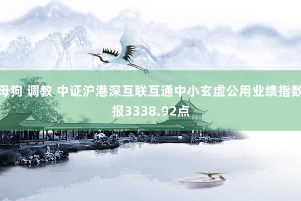 母狗 调教 中证沪港深互联互通中小玄虚公用业绩指数报3338.92点