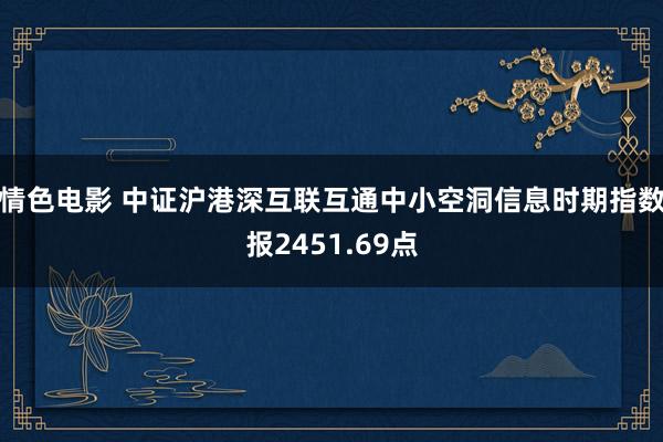 情色电影 中证沪港深互联互通中小空洞信息时期指数报2451.69点