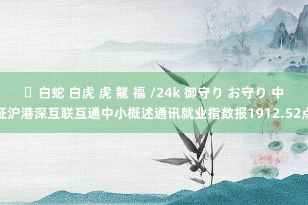 ✨白蛇 白虎 虎 龍 福 /24k 御守り お守り 中证沪港深互联互通中小概述通讯就业指数报1912.52点