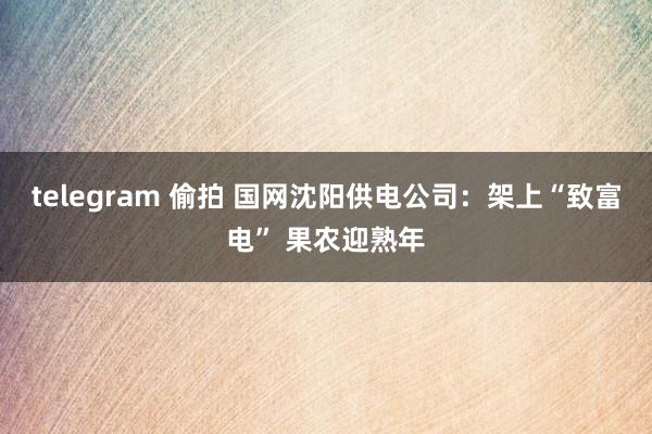 telegram 偷拍 国网沈阳供电公司：架上“致富电” 果农迎熟年