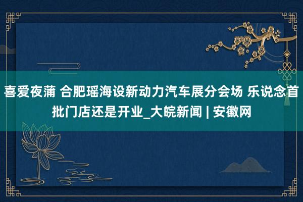 喜爱夜蒲 合肥瑶海设新动力汽车展分会场 乐说念首批门店还是开业_大皖新闻 | 安徽网