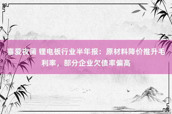 喜爱夜蒲 锂电板行业半年报：原材料降价推升毛利率，部分企业欠债率偏高