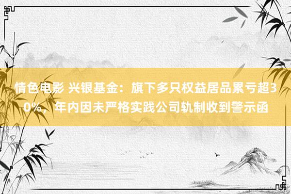 情色电影 兴银基金：旗下多只权益居品累亏超30%，年内因未严格实践公司轨制收到警示函