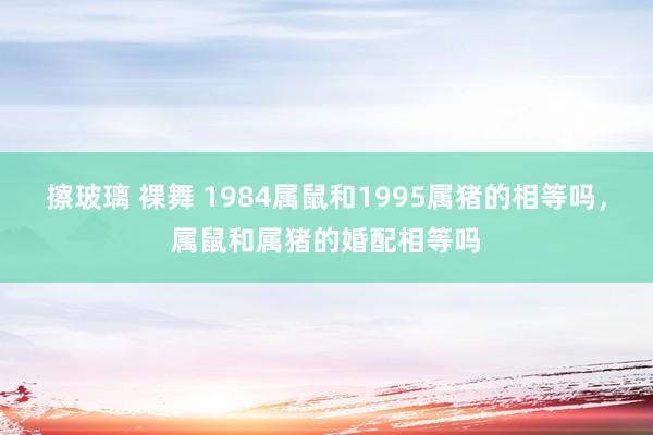 擦玻璃 裸舞 1984属鼠和1995属猪的相等吗，属鼠和属猪的婚配相等吗