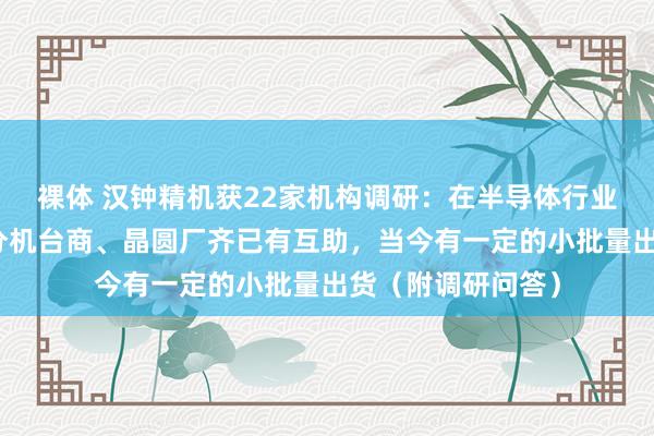 裸体 汉钟精机获22家机构调研：在半导体行业，公司与国里面分机台商、晶圆厂齐已有互助，当今有一定的小批量出货（附调研问答）