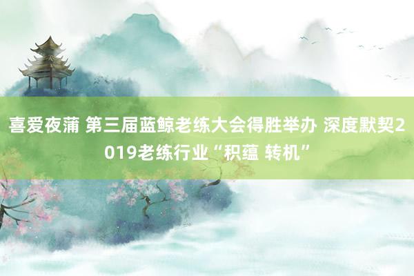 喜爱夜蒲 第三届蓝鲸老练大会得胜举办 深度默契2019老练行业“积蕴 转机”