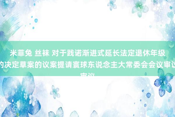 米菲兔 丝袜 对于践诺渐进式延长法定退休年级的决定草案的议案提请寰球东说念主大常委会会议审议