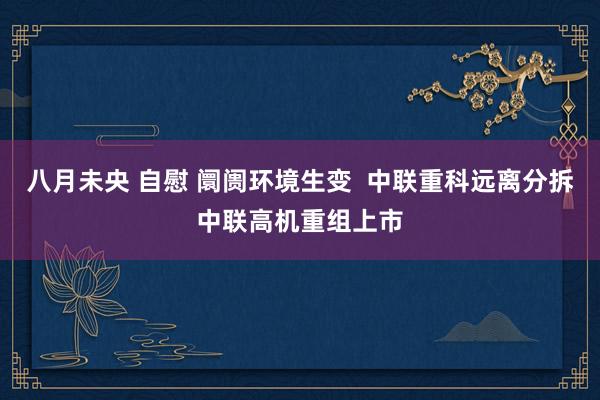 八月未央 自慰 阛阓环境生变  中联重科远离分拆中联高机重组上市