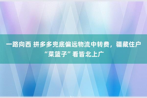 一路向西 拼多多兜底偏远物流中转费，疆藏住户“菜篮子”看皆北上广