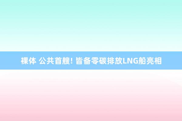 裸体 公共首艘! 皆备零碳排放LNG船亮相