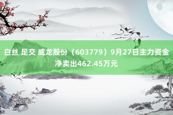 白丝 足交 威龙股份（603779）9月27日主力资金净卖出462.45万元