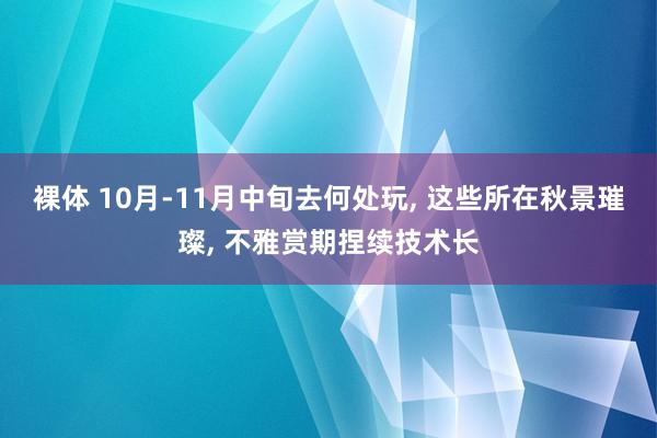 裸体 10月-11月中旬去何处玩, 这些所在秋景璀璨, 不雅赏期捏续技术长