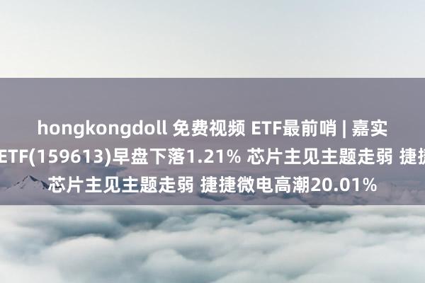 hongkongdoll 免费视频 ETF最前哨 | 嘉实中证信息安全主题ETF(159613)早盘下落1.21% 芯片主见主题走弱 捷捷微电高潮20.01%