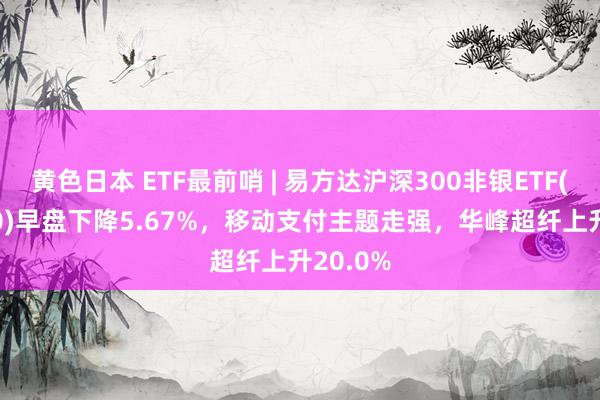 黄色日本 ETF最前哨 | 易方达沪深300非银ETF(512070)早盘下降5.67%，移动支付主题走强，华峰超纤上升20.0%