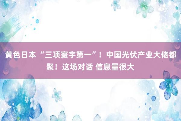 黄色日本 “三项寰宇第一”！中国光伏产业大佬都聚！这场对话 信息量很大