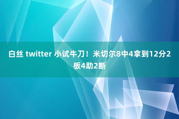 白丝 twitter 小试牛刀！米切尔8中4拿到12分2板4助2断