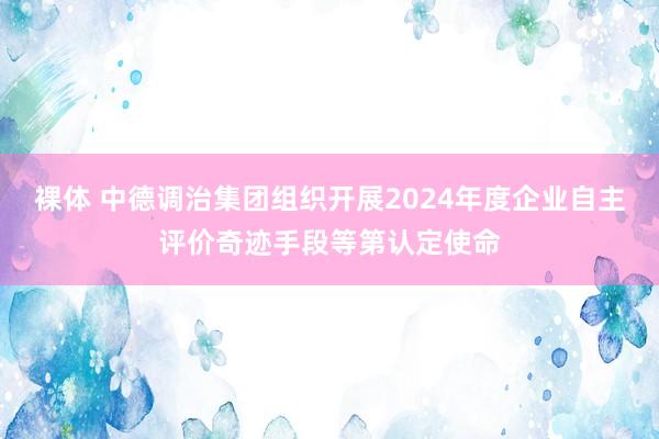 裸体 中德调治集团组织开展2024年度企业自主评价奇迹手段等第认定使命