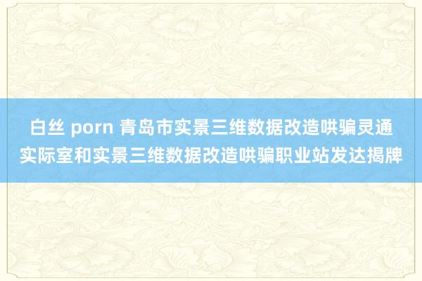 白丝 porn 青岛市实景三维数据改造哄骗灵通实际室和实景三维数据改造哄骗职业站发达揭牌