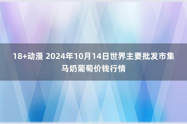 18+动漫 2024年10月14日世界主要批发市集马奶葡萄价钱行情