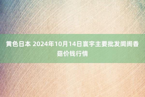 黄色日本 2024年10月14日寰宇主要批发阛阓香菇价钱行情