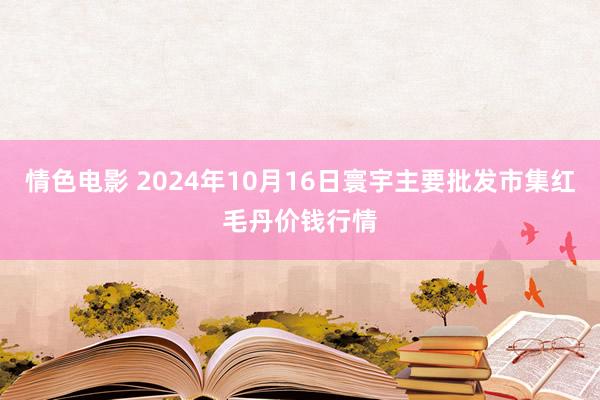 情色电影 2024年10月16日寰宇主要批发市集红毛丹价钱行情