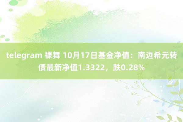 telegram 裸舞 10月17日基金净值：南边希元转债最新净值1.3322，跌0.28%