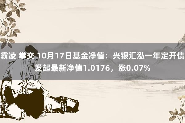 霸凌 拳交 10月17日基金净值：兴银汇泓一年定开债发起最新净值1.0176，涨0.07%