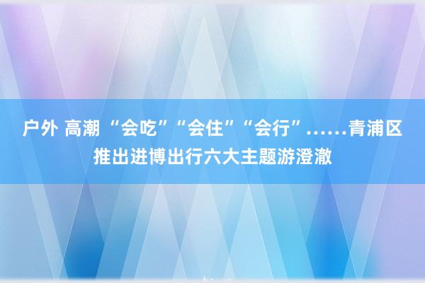 户外 高潮 “会吃”“会住”“会行”……青浦区推出进博出行六大主题游澄澈