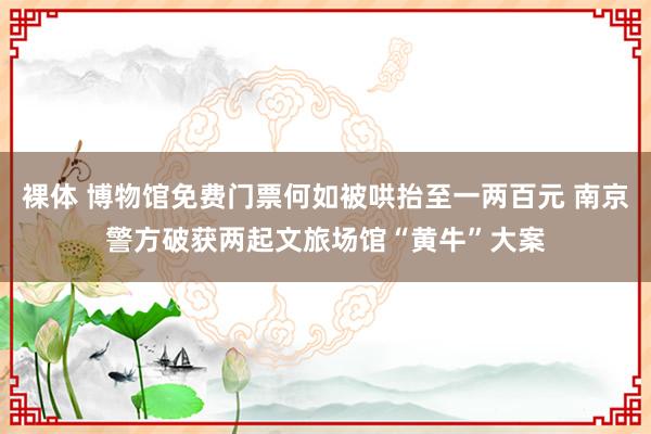 裸体 博物馆免费门票何如被哄抬至一两百元 南京警方破获两起文旅场馆“黄牛”大案