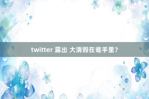 twitter 露出 大清毁在谁手里？