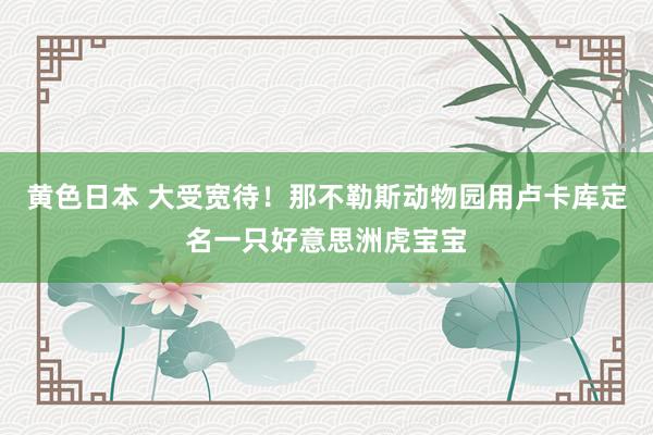 黄色日本 大受宽待！那不勒斯动物园用卢卡库定名一只好意思洲虎宝宝