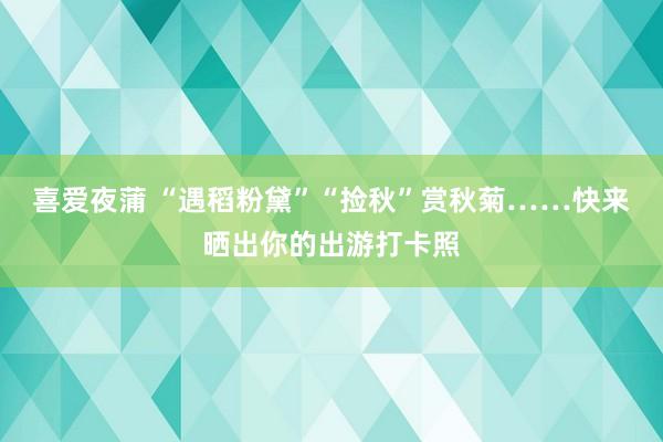 喜爱夜蒲 “遇稻粉黛”“捡秋”赏秋菊……快来晒出你的出游打卡照