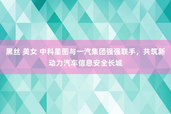 黑丝 美女 中科星图与一汽集团强强联手，共筑新动力汽车信息安全长城