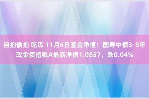 自拍偷拍 吃瓜 11月6日基金净值：国寿中债3-5年政金债指数A最新净值1.0857，跌0.04%