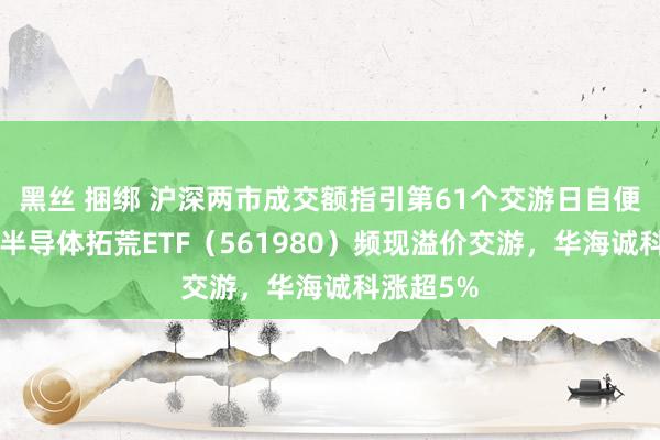 黑丝 捆绑 沪深两市成交额指引第61个交游日自便1万亿，半导体拓荒ETF（561980）频现溢价交游，华海诚科涨超5%