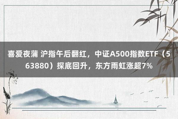 喜爱夜蒲 沪指午后翻红，中证A500指数ETF（563880）探底回升，东方雨虹涨超7%