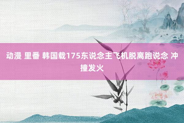 动漫 里番 韩国载175东说念主飞机脱离跑说念 冲撞发火