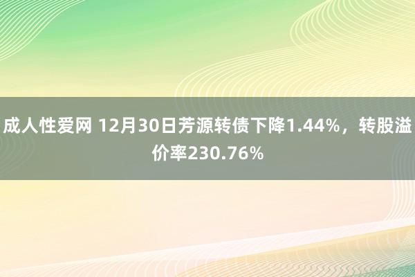 成人性爱网 12月30日芳源转债下降1.44%，转股溢价率230.76%