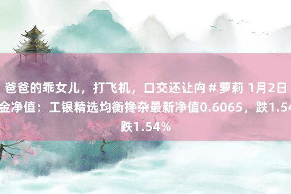 爸爸的乖女儿，打飞机，口交还让禸＃萝莉 1月2日基金净值：工银精选均衡搀杂最新净值0.6065，跌1.54%