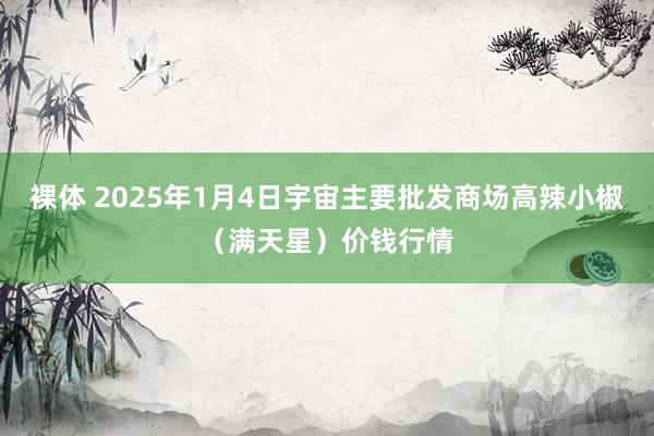 裸体 2025年1月4日宇宙主要批发商场高辣小椒（满天星）价钱行情