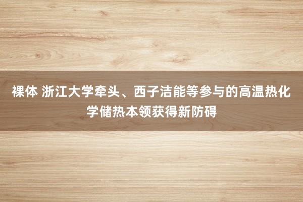 裸体 浙江大学牵头、西子洁能等参与的高温热化学储热本领获得新防碍