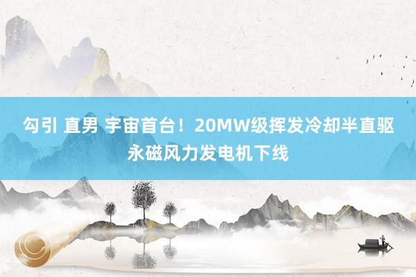 勾引 直男 宇宙首台！20MW级挥发冷却半直驱永磁风力发电机下线