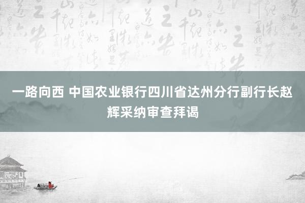 一路向西 中国农业银行四川省达州分行副行长赵辉采纳审查拜谒