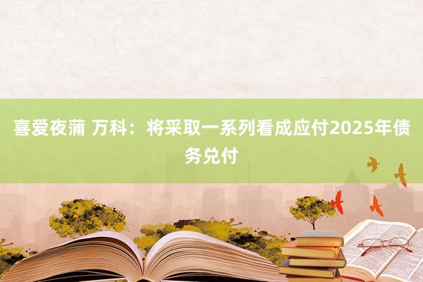 喜爱夜蒲 万科：将采取一系列看成应付2025年债务兑付