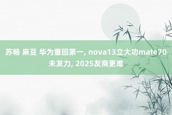 苏畅 麻豆 华为重回第一， nova13立大功mate70未发力， 2025友商更难