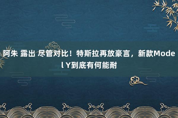 阿朱 露出 尽管对比！特斯拉再放豪言，新款Model Y到底有何能耐