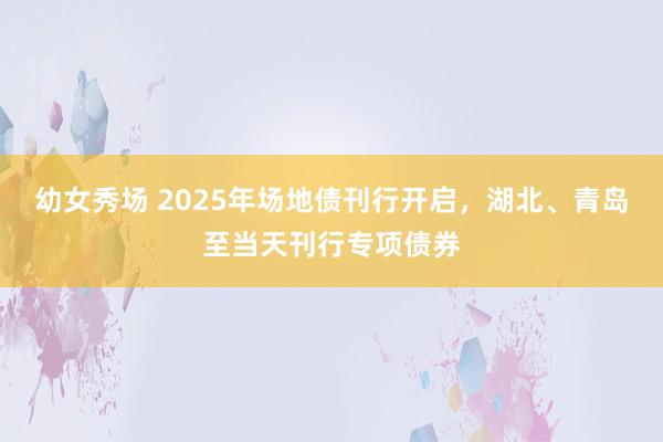 幼女秀场 2025年场地债刊行开启，湖北、青岛至当天刊行专项债券